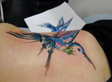 Kingfisher tattoo by Matt Curtis