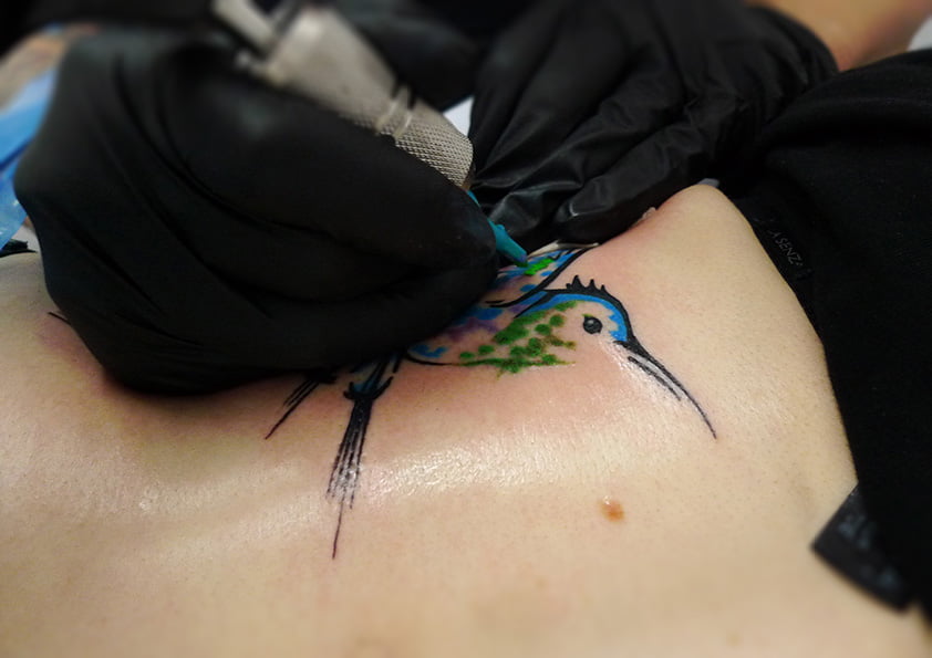 Kingfisher tattoo in progress