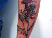 Thistle Tattoo by Matt Curtis