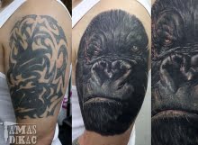 Gorilla Tattoo by Tamas