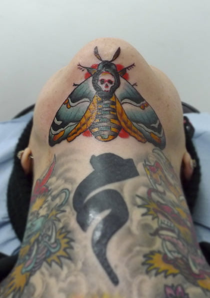 Hawk moth by Matt