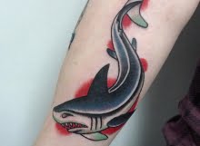 Matt shark