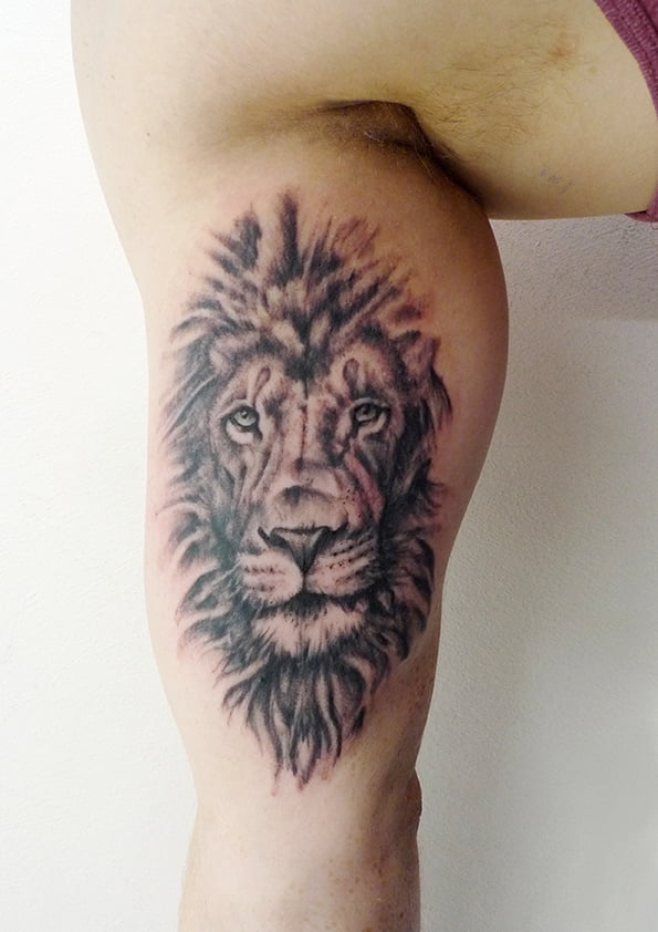 Top more than 148 lion face tattoo